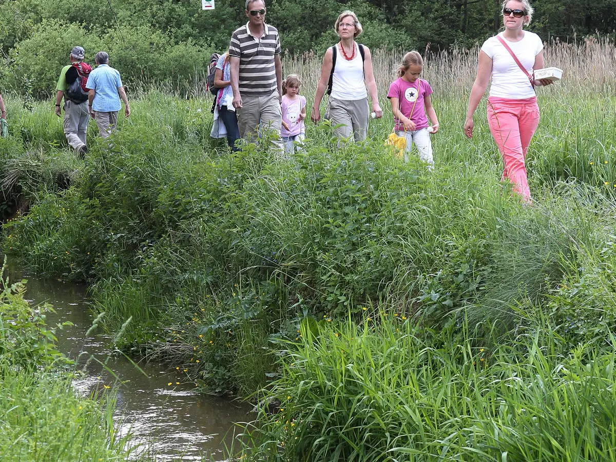 Spaziergänger an einem Bach im Grünen
